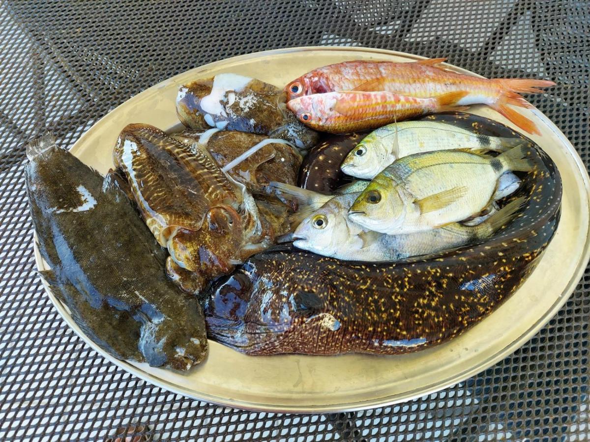 Appartamento La Coffa Agnone Cilento 外观 照片