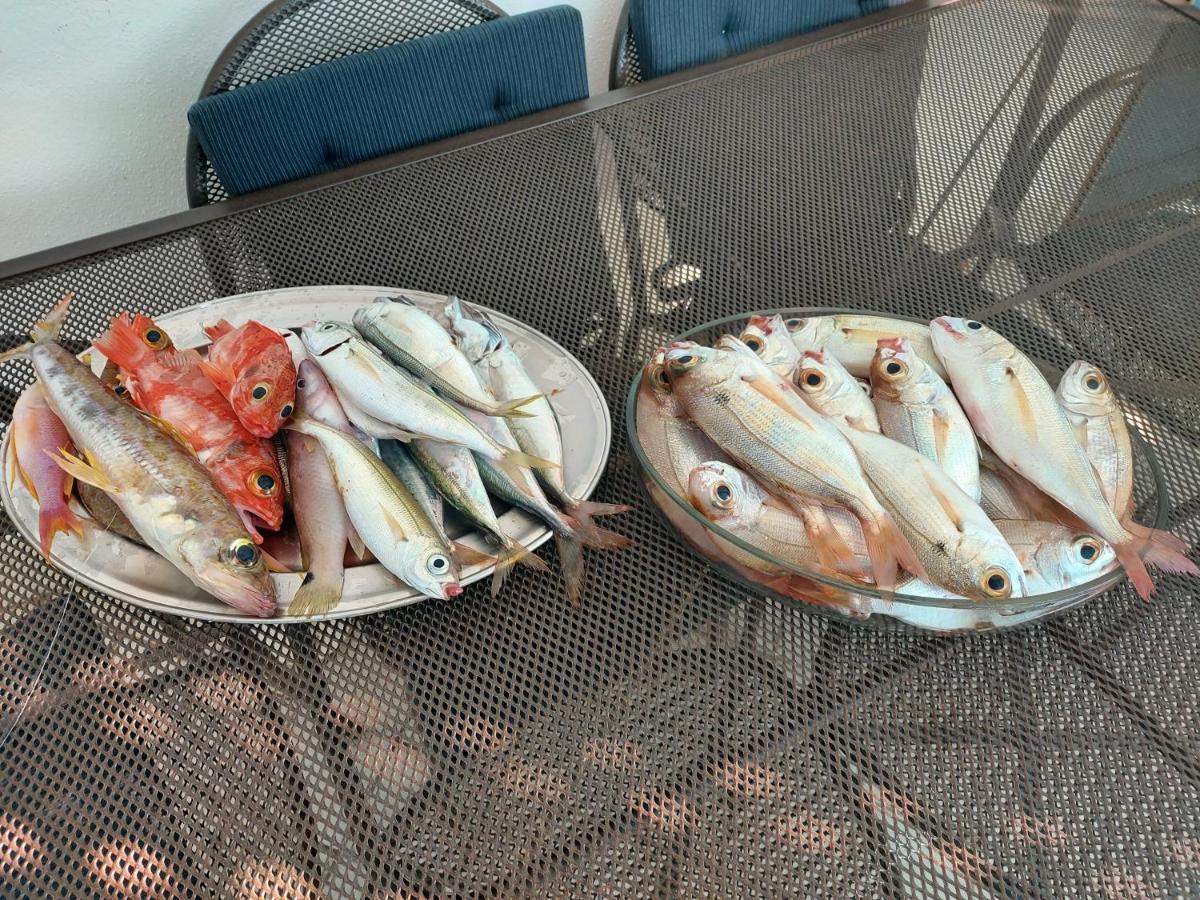 Appartamento La Coffa Agnone Cilento 外观 照片