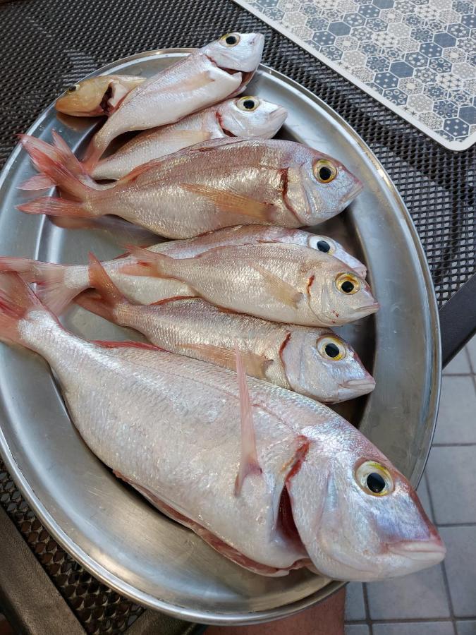 Appartamento La Coffa Agnone Cilento 外观 照片